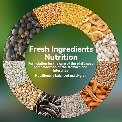 Nobleza Wellensittichfutter 500g, Vogelfutter für Wildvögel & Sittiche mit Früchten wie Papaya & Banane, Ausgewogenes Einzelfuttermittel für Ganzjährige Fütterung, Staubarm & Vitaminreich