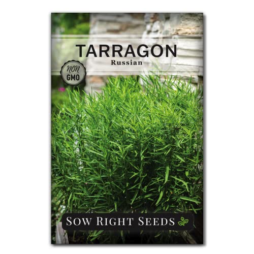 Sow Right Seeds - Russian Tarragon Seeds for Planting - Little Dragon - Non-GMO Heirloom Packet with Instructions for Planting a Beautiful Herb Garden - Rare Culinary Herbs for Home Gardening (1)