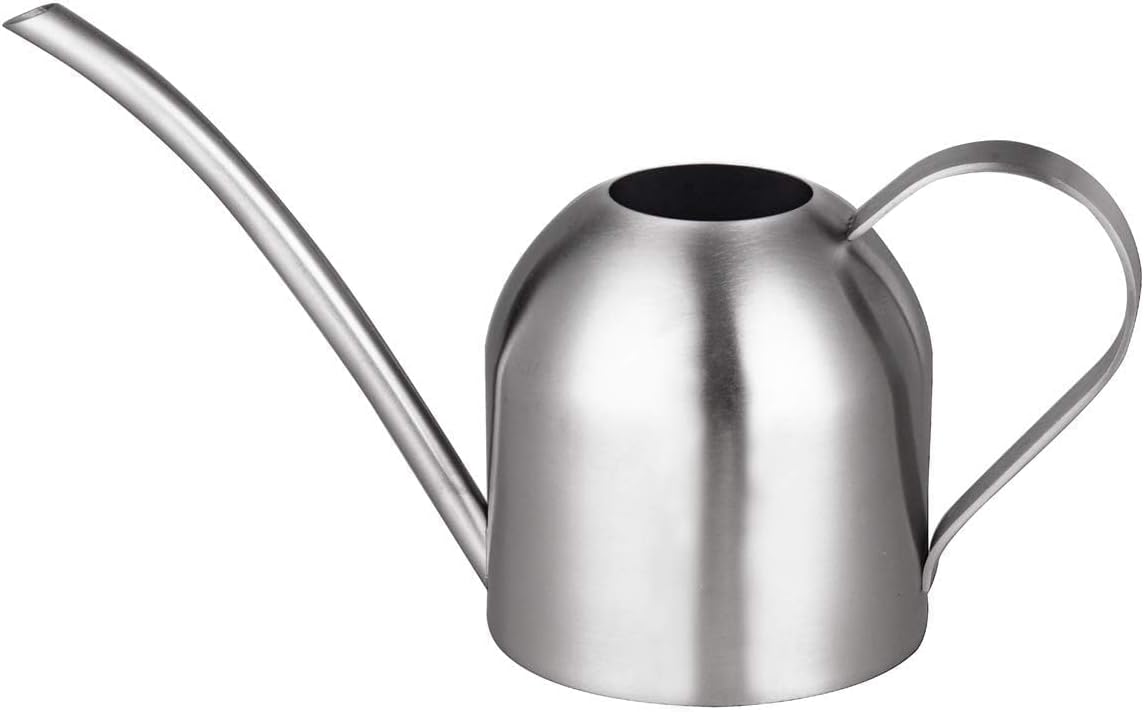 Small Watering Can