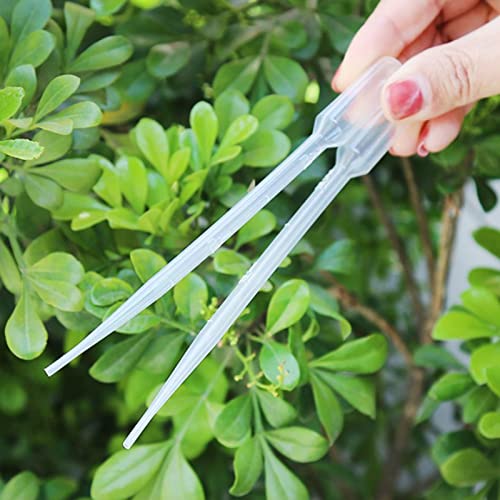 Image of Othmro 200Pcs 3ml Disposable Plastic Transfer Pipettes,Calibrated Dropper Clear Pipettes Liquid Dropper Suitable for Ear Eye Essential Oils Makeup, Science Laboratory, DIY Art 185mm Length