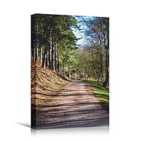 Canvas Wall Art Green Forest Dramatic Forest Landscape Living Room Multicolor Photography Rustic - 12x18 inches