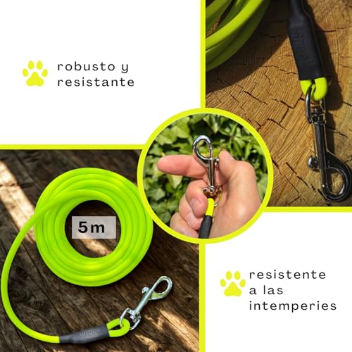 5m Schleppleine Hunde, Wasserfeste Hundeleine Rundleine mit Handschlaufe, Robuste Freilauf-Trainingsleine Neon-Gelb, bis 35kg