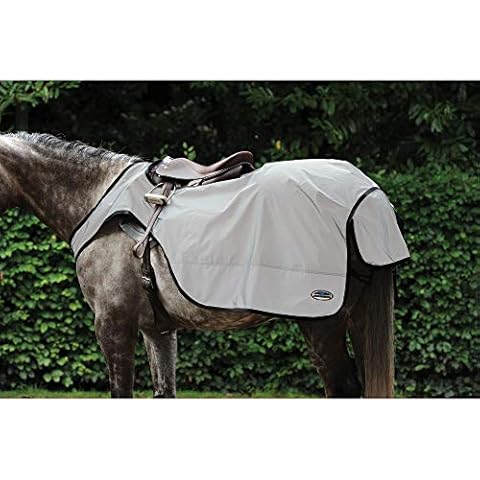 WeatherBeeta Reflective Exercise Sheet for Horses Cover