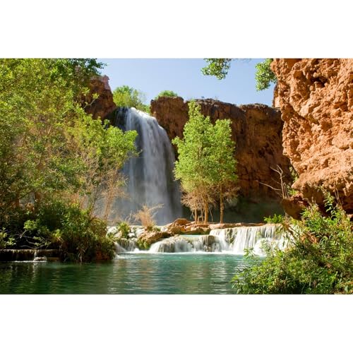 Image of Waterfall Aquarium Background Natural Jungle Forest Landscape Terrarium Background Tranquil Lake Stream Jungle Style Fish Tank Background Mountain Falls Aquarium Backdrop Poster Vinyl 24x16in