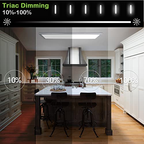 1X4 Ft Led Flat Panel Selectable Cct Flush Mount Light, 4800Lm, 48W Dimmable Edge-Lit Ceiling Light Fixtures, 3000K/4000K/5000K, Silver, Built-In Driver Surface Mount Lights For Kitchen Garage #TOP4