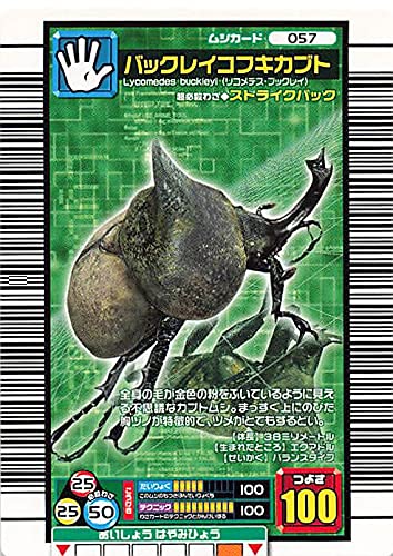 ムシキング 2006 ムシキング 2006年「ムシキング」 - メルカリ