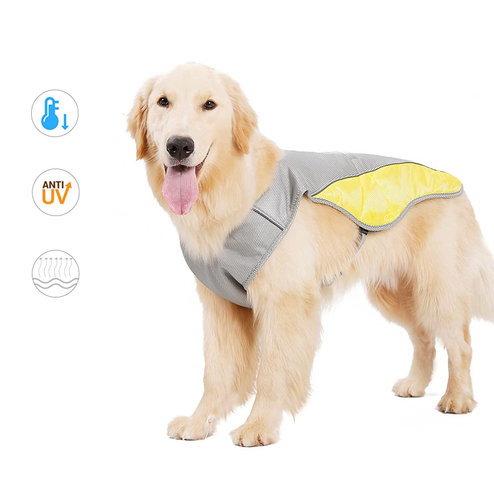 How To Keep Dog Cool In Extreme Heat