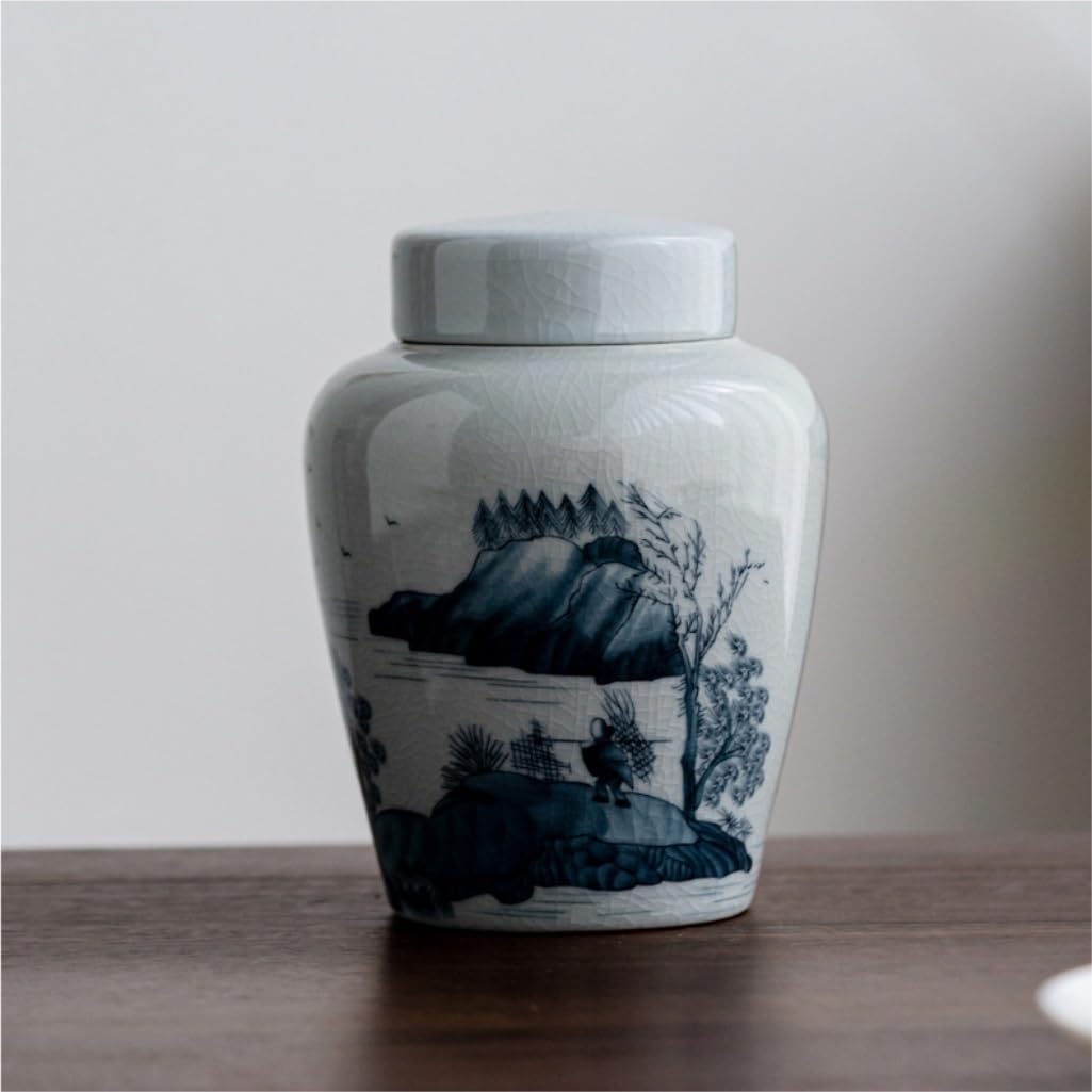 Contenitore per il tè in ceramica, creativo, barattolo per la conservazione del tè sfuso, set da tè cinese retrò, set da due barattoli, barattolo in ceramica da cucina con coperchio, contenitore per