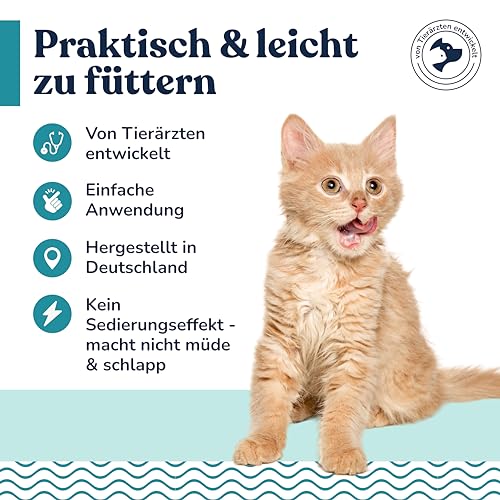 felmo Beruhigungspaste für Katzen (100g) bei Stress, Angst und innerliche Unruhe fördert die Wohlfühlpaste die Gelassenheit & lindert Anspannung bei deiner Katze - Laktosefrei, ohne Zusatz von Zucker