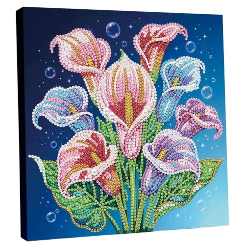 Kits de pintura de perlas para adultos Bemonew y cuadros de diamantes decorativos con marco