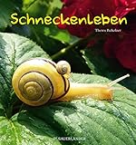 weinbergschnecken kaufen schweiz  Schneckenleben