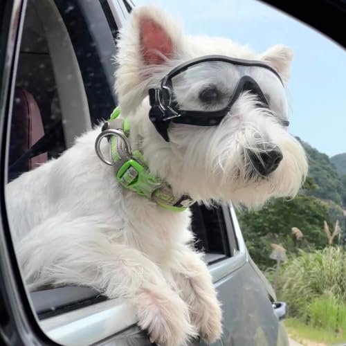Fohuanky Hundebrille für mittelgroße und große Rassen, Verstellbarer Riemen, UV-Schutz, Brille für Golden Retriever, Labrador, Deutscher Schäferhund, Boxer (Transparent)