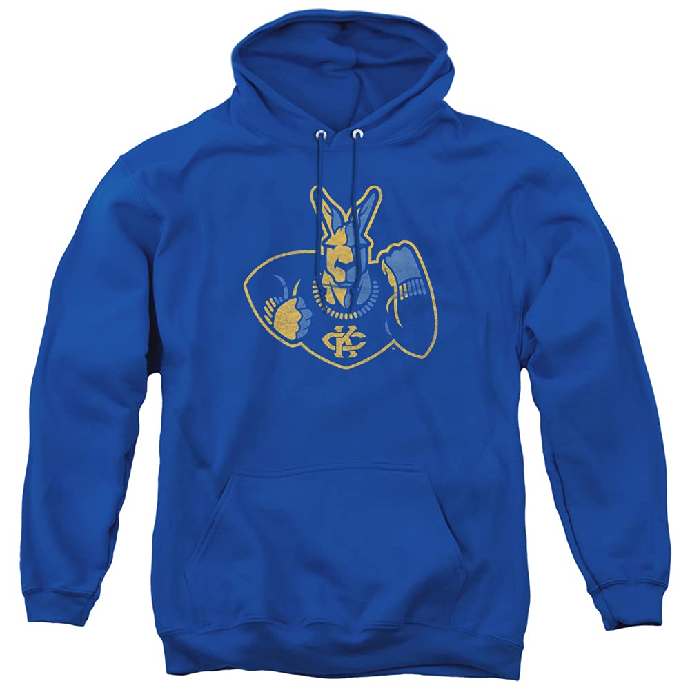 LOGOVISION Official Collegiate Distressed Primary Logo Adult Pullover Hoodie Collection — view 297