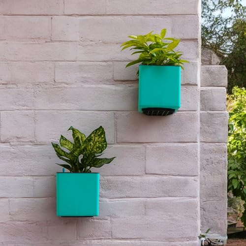 Image of Indian Discovery Self Watering Wall Hanging Planter|Hanging /Hooked Flower Pots for Home, Balcony, Vertical Garden Decor Flower Pots(6 Pc, Multi-Color, Square) |6 Inch UV-Resistant Plastic Plant Pots