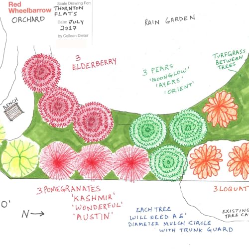 Fruit Tree Garden Design with Colleen Dieter