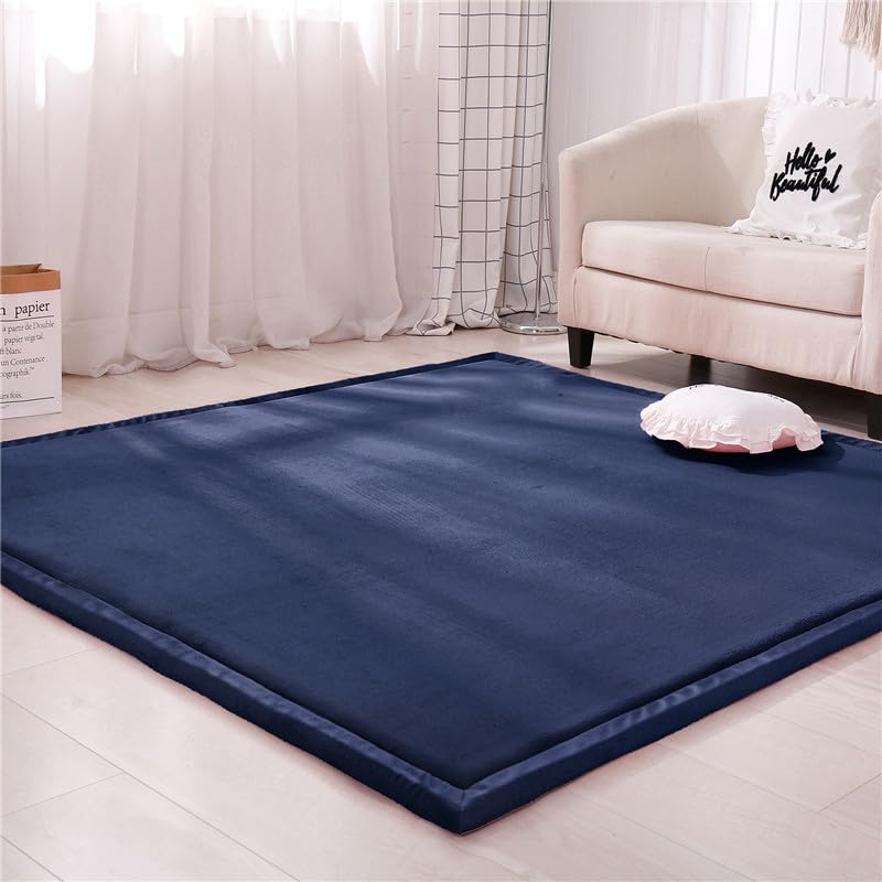 DSSHENGDS Coral Velvet Rug for Bedroom Dormitory Yoga,Home Decor for Living Room,Educational Classroom Nursery Bedroom Crawling Mat Non-slip Rug 2cm-E- 200 * 320cm