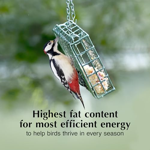 Image of C&S Peanut Butter Delight No Melt Suet Dough, Suet Cakes for Wild Birds Including Wrens, Woodpeckers, Cardinals, Songbirds, Jays and More, 8 Pack