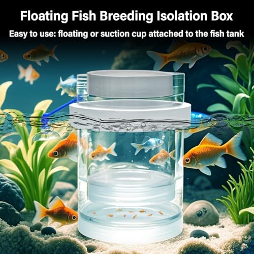 Image of Floating & Mountable Breeding Box - Safe Fry Nursery, Fish Isolation Tank (3.38 inchx3.38 inchx5.4 inch) (1 Set)