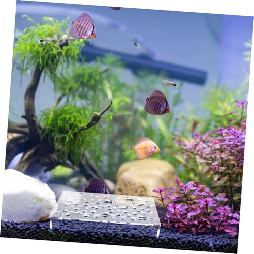 Refugio para cría de camarones, escondite de peces pequeños con agujeros 8