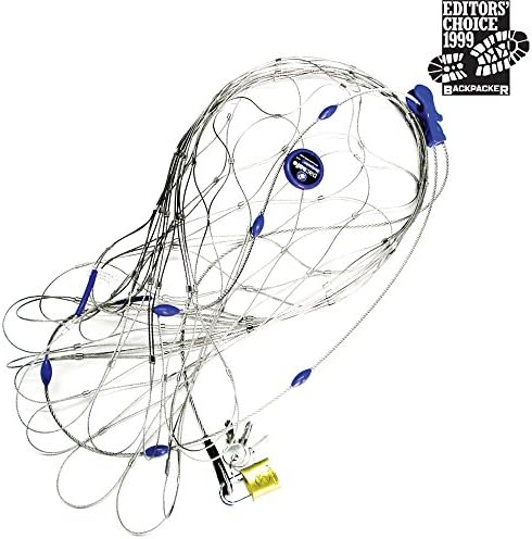 pacsafe backpack protector