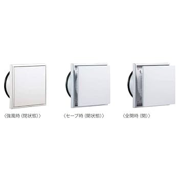 大千 扇面 51G-ln4AaLL._UF350,350_QL80_.jpg