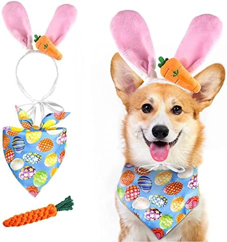 large dog easter costume