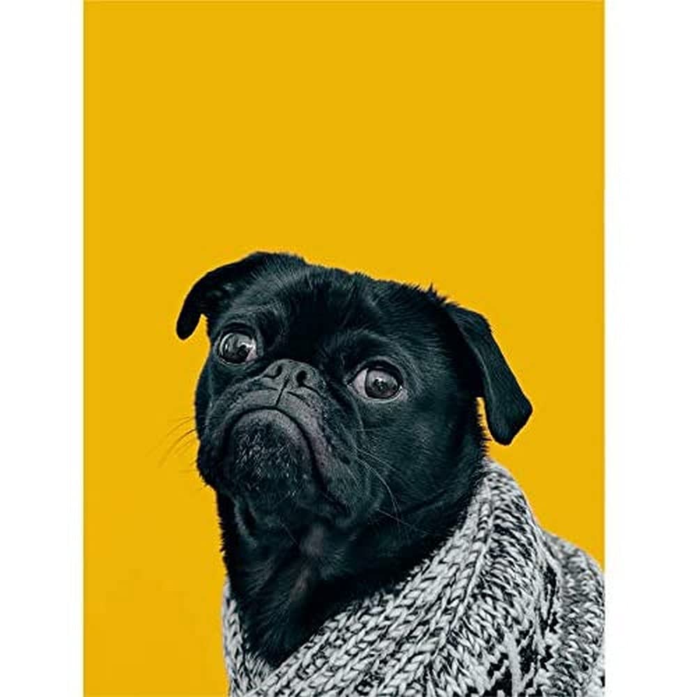 Deluvio Pug Dog Puppy in Sweater Canvas Wall Art Print