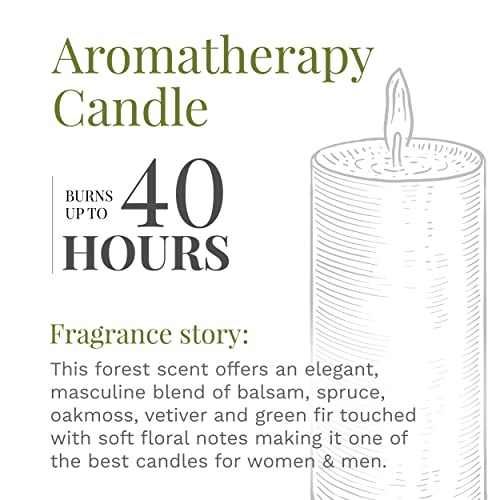 Candle-Lite Everyday Scented Balsam Forest 3-Wick Jar Candle, 10 Oz, Green #TOP4