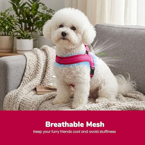 Image of Didog No Pull Dog Harness for Small Dogs, Breathable Mesh, Hot Pink, XS | Quick Fit, Easy On and Off, Lightweight, Reflective Vest Harness for Night Safty, Easy for Walking and Training, Chest 15-18 inch