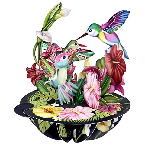 SANTORO Pirouette, 3D Pop Up Greeting Card - Hummingbirds - For Her, For Mum, Birthday, Valentine's Day, Mother's Day Cover