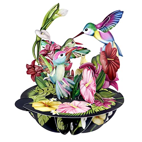 SANTORO Pirueta, Tarjeta De Felicitación Emergente 3D - Colibríes - Para Ella, Él, Mamá, Esposa, Hermana, Hija, Cumpleaños, Amantes De Las Aves | Tarjetas De Agradecimiento Para Profesores