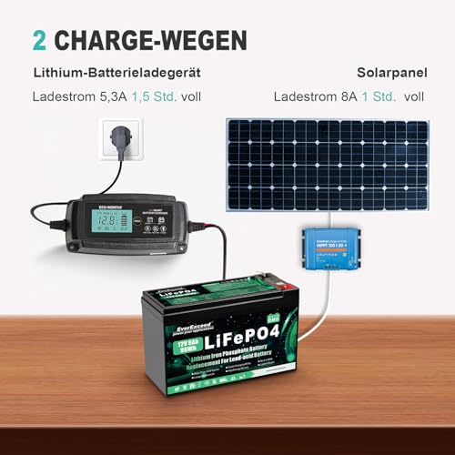 12V 8Ah Lifepo4 Batterie 3000+ Tiefentladungszyklen 12 V Lithium Batterie für Solar/Windenergie, Beleuchtung, Fischfinder, Power Wheels und mehr, 10A BMS