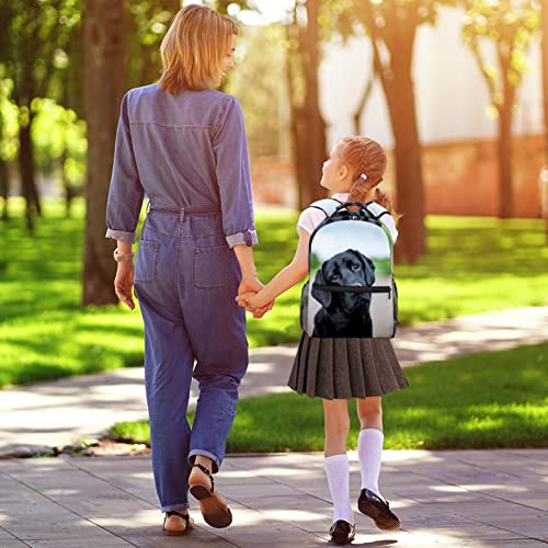 Mochila para perro multifuncional y escolar universitaria de gran capacidad 5