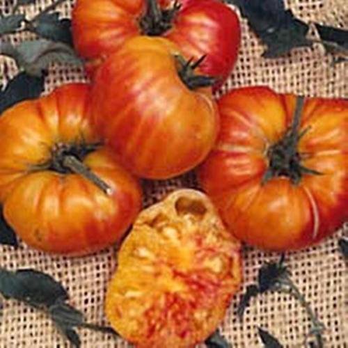 Passata Di Pomodoro – Peretta Val Di Riva, Varietà Antica, 500g - Foto 6