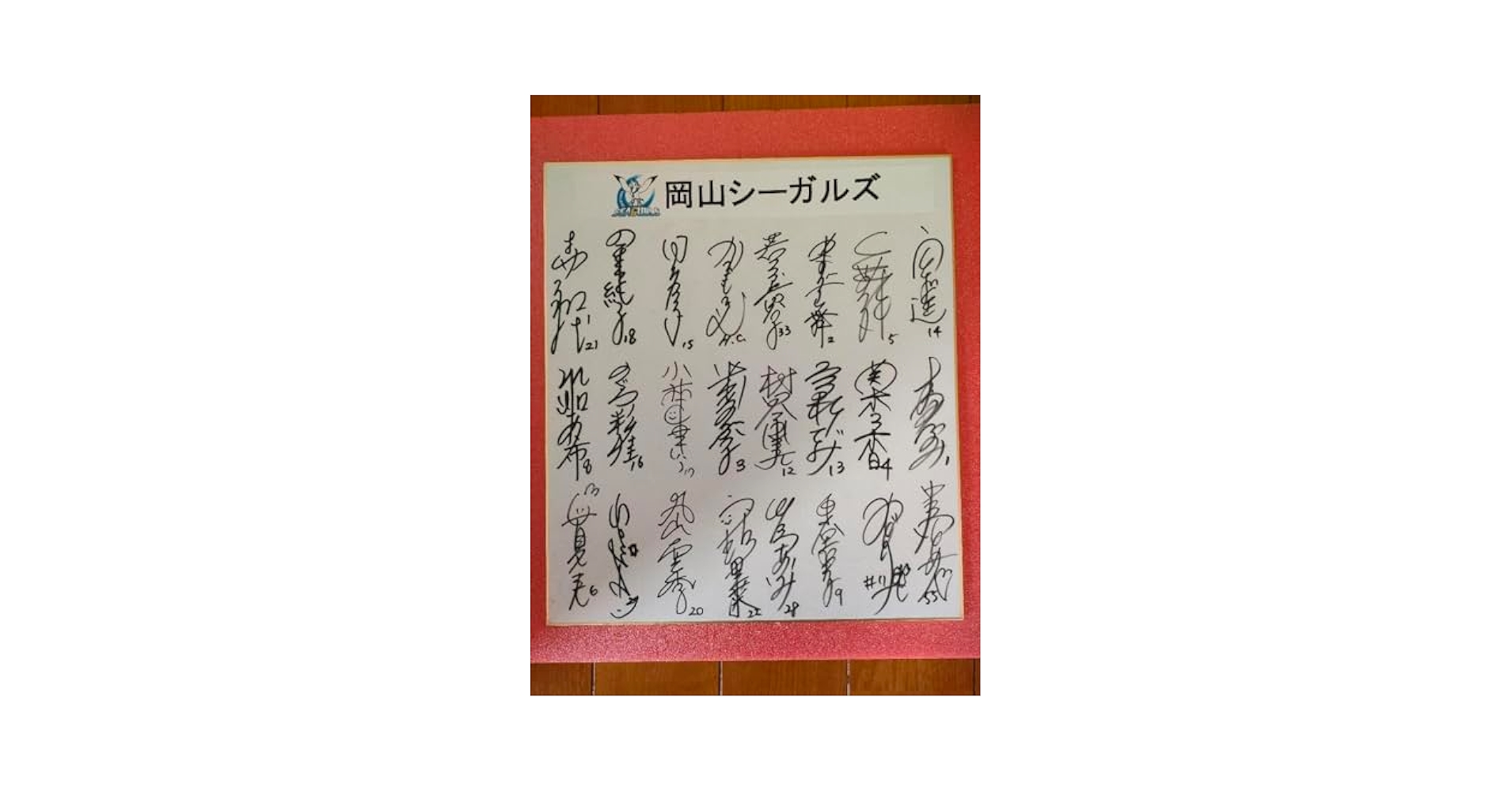直筆サイン寄書【日立武蔵女子バレーボール】当時物1973年