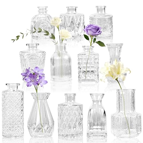BTSD-home 12 Stück Blumenvase Set Kleine Vasen für Tischdeko mit elegantem Design robust zur Hochzeitsdeko Tischdeko und Party Deko