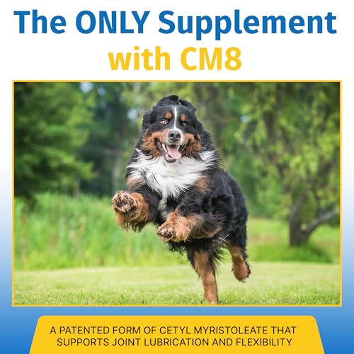 Hip & Joint Supplement for Dogs & Cats with Cetyl Myristoleate, Glucosamine, Collagen, MSM - Advanced Joint Support for Mobility, Senior Pets, Small & Large Breeds - 60 Tablets (Pork Liver) - Image 4