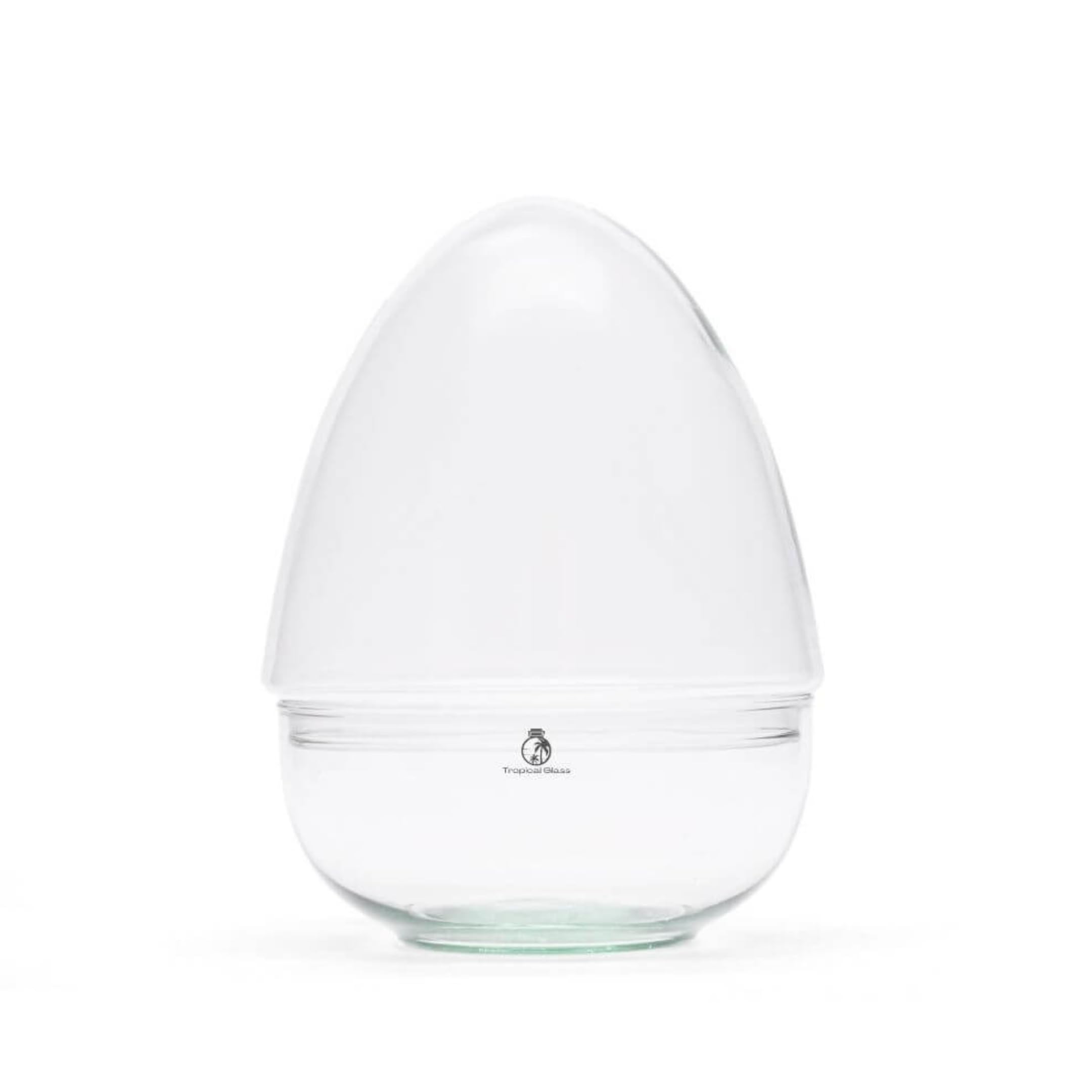 Egg Shaped Glass Terrarium Container with Glass Lid, H: 21 cm, Hand Blown Closed Terrarium Jar for Plants, Moss, Miniature Gardens and Indoor Plant Displays