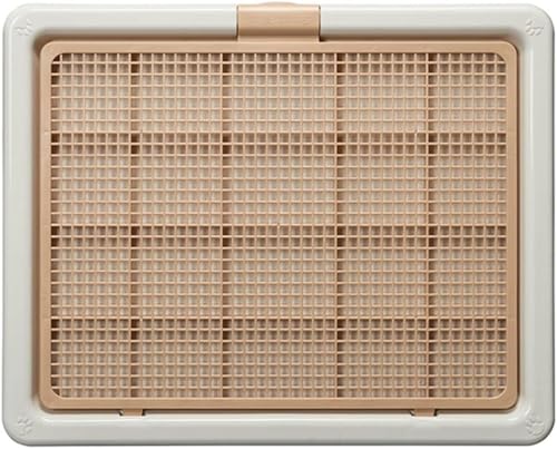 yZixuizbV^gCg[ hEhREEL ~ O  R Ch lGp N21