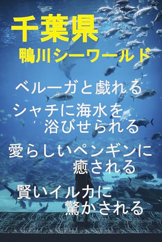 千葉県 鴨川シーワールドで海洋生物たちとの触れ合い体験