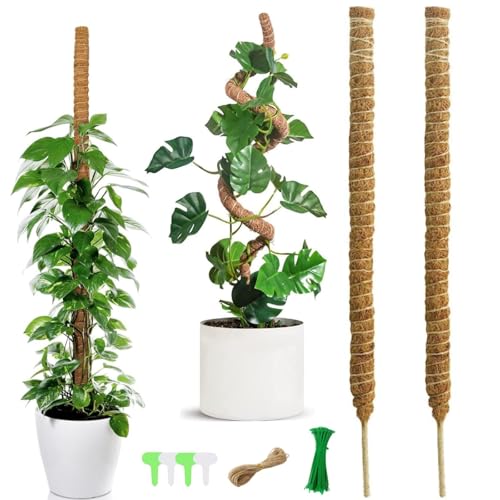 HTRTRR 120 cm Tuteur Plante Grimpante Pliables, 2 Pièces Tuteur Coco, Plantes Poteaux en Mousse Sphaigne avec Serre Câbles, Etiquettes et Ficelle de Jute pour Maison Jardin de Support de Plante