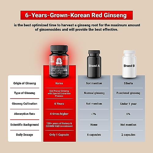 CheongKwanJang-Korean-Red-Ginseng-Extract-Capsules-Plus-All-in-1-Focus-Pills-for-Men-Women-Natural-Energy-SupplementsCirculation-Immune-Support-Brain-Booster-30-Capsules