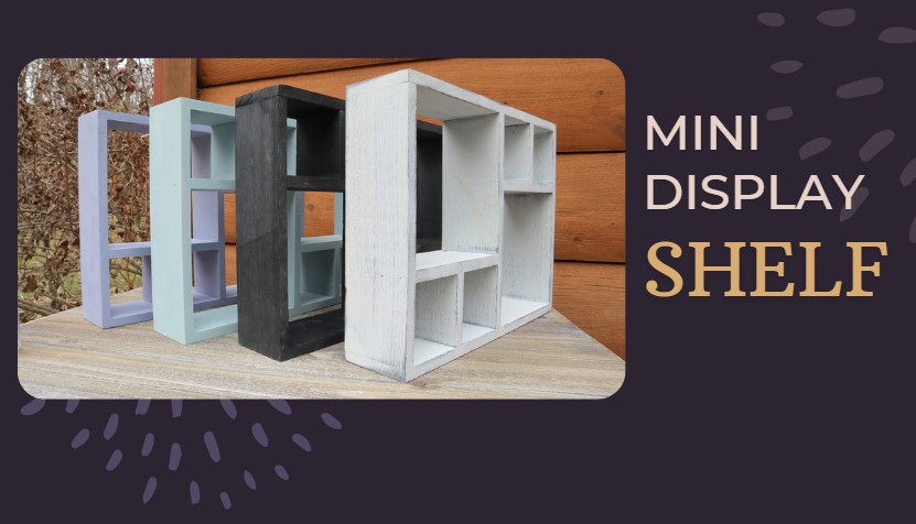 Amazon.com: Shelf & Stone Mini Fossil & Crystal Display