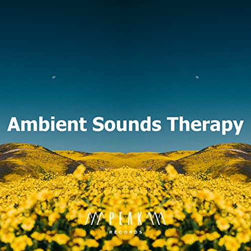 Ambient Sounds Therapy Ambient Sounds Collection Digital
