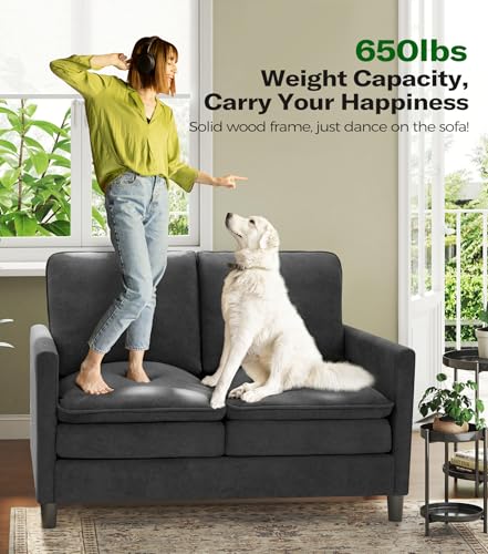 Image of Welzona 3-Layers Cloud Loveseat Sofa, 51 inch Small Couch, Teddy Small Sofa