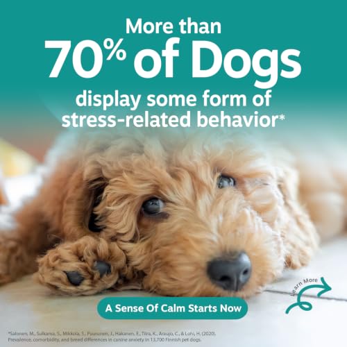 Image of Zesty Paws Calming Chews for Dogs - for Everyday Stress, Relaxation, Composure, and Separation Turkey 90 Count
