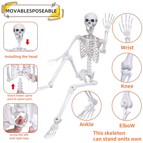 Pacote com 2 esqueletos de Halloween de 1,8 m, esqueletos possíveis, ossos de corpo inteiro, com art