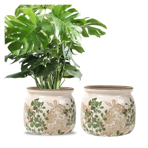 Pots de fleurs amusants en pack de 2 avec finition céramique rétro et rustique