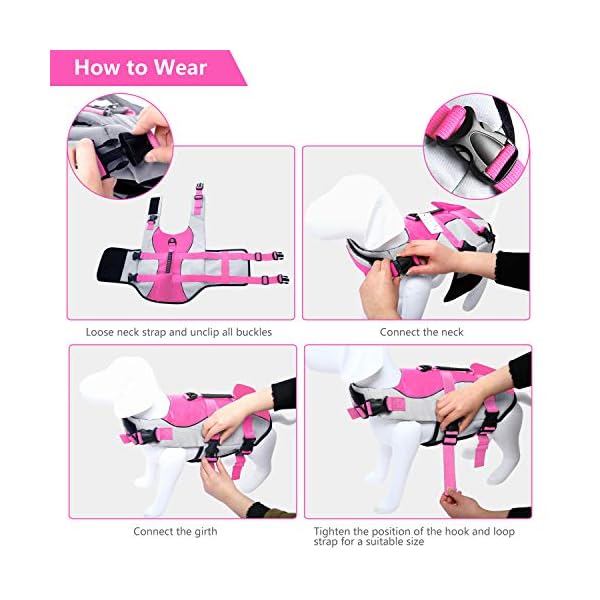 Asenku dog life jacket pet life safety vest for swimming boating, dog shark life jackets dog lifesavers swimsuits for pool, dog water floatation vest for small medium large dogs, shark pink, medium - image 6