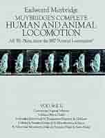 アート・デザイン・音楽 781 Plates from 1887 Animal Locomotion 2 Muybridge's Complete Human and Animal Locomotion : All 781